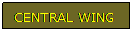 Text Box: CENTRAL WING
